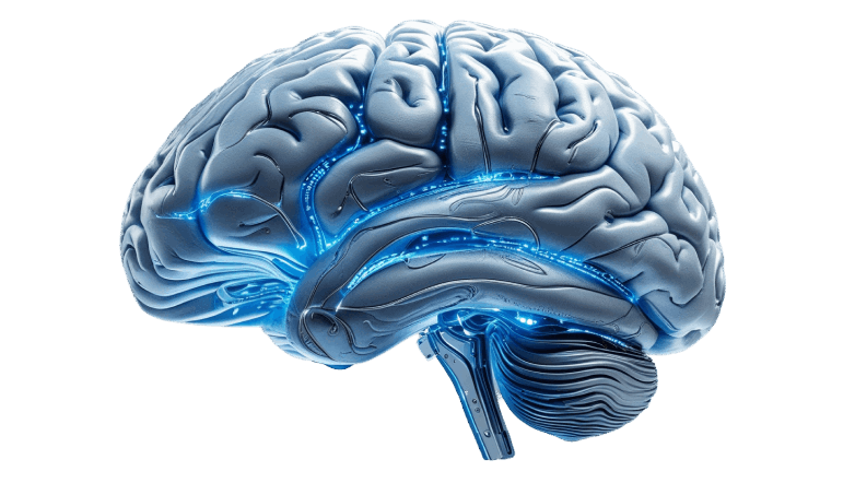 JORVIX LLC digital AI brain illustration